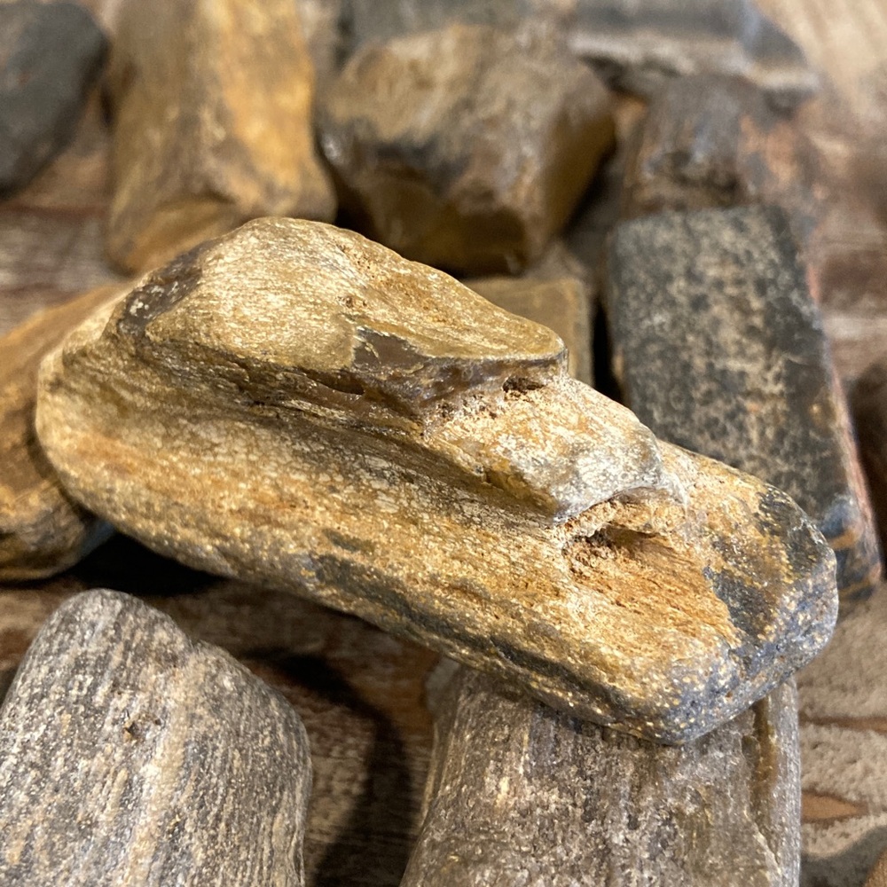 17pcs Petrified Wood 🪵 Rock Collection - Picture 15 of 17